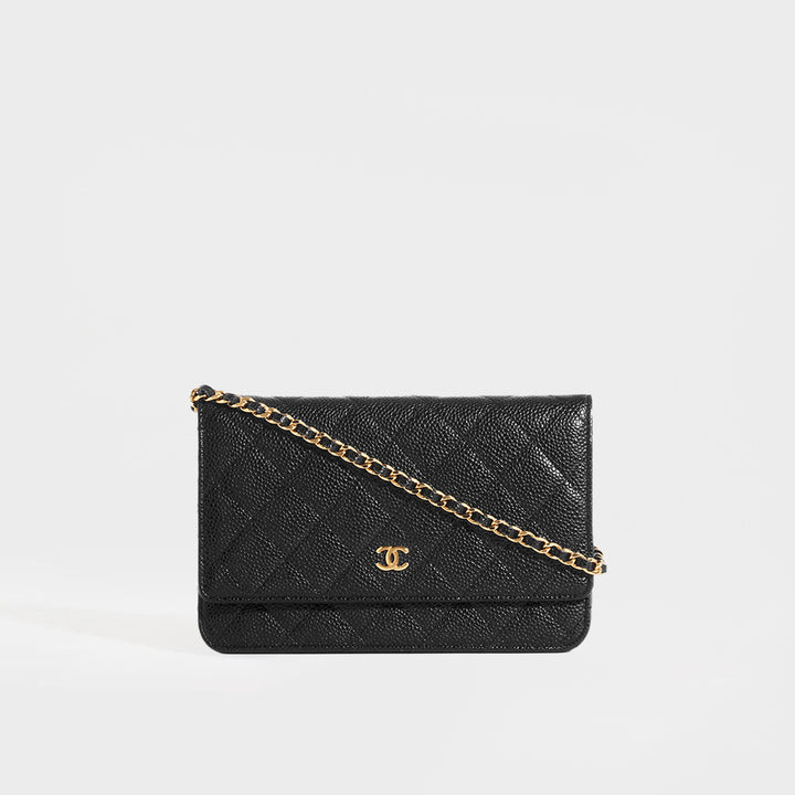 Chanel hotsell Wallet/Crossbody