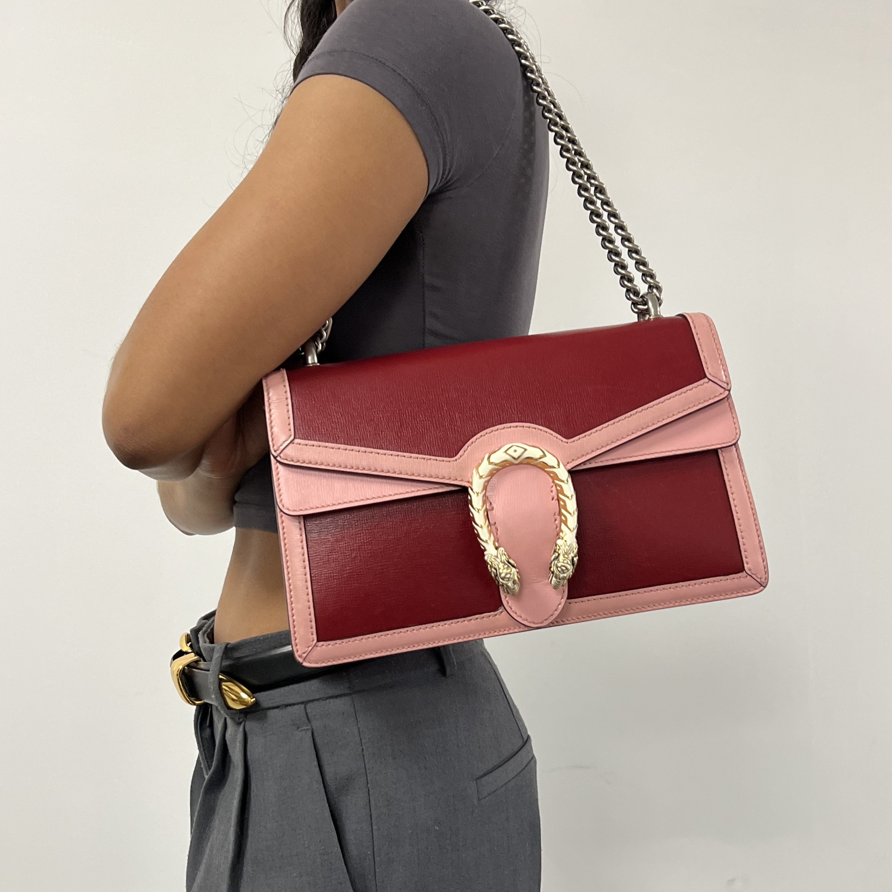 Dionysus Small Shoulder Bag in Red and Pink